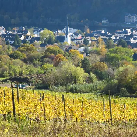 Wildbadstrasse By Interhome Verbandsgemeinde Traben-Trarbach