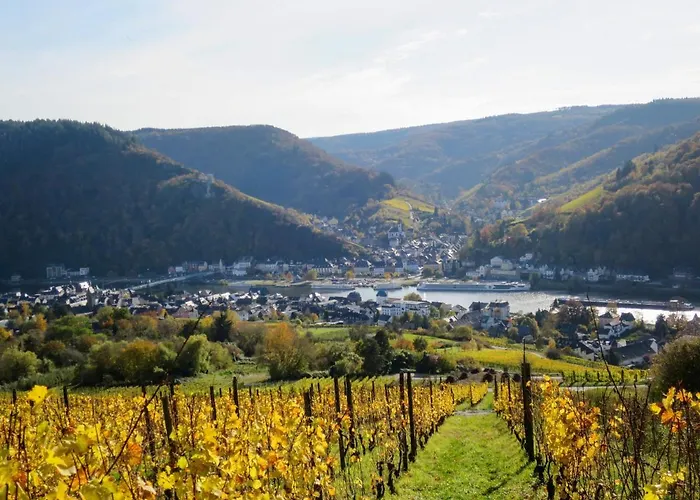 Appartement Wildbadstrasse By Interhome Traben-Trarbach