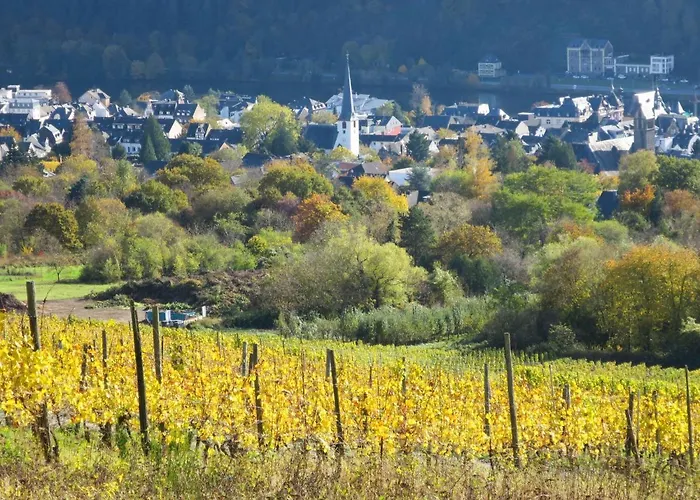 Wildbadstrasse By Interhome Traben-Trarbach